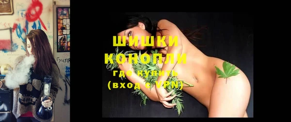 PSILOCYBIN Покачи