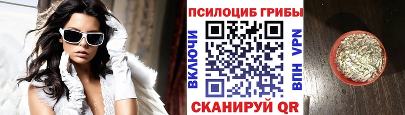 дарнет шоп  Жигулёвск  Галлюциногенные грибы мухоморы 